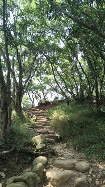 20251018 三義火炎山 南鞍古道 O型2920421