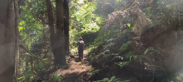 2025/06/15_盡尾山步道2812749