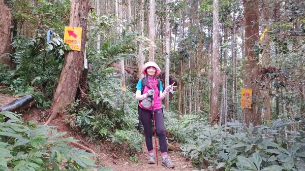 【苗栗南庄】向天湖山光天高山小O繞2933179