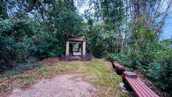 水沙漣古道｜二坪山2979990