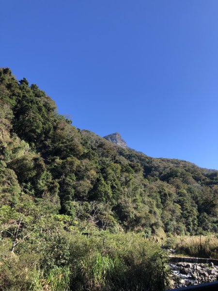 水雲三星之虎山2312152464096