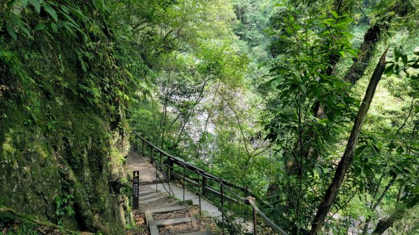 福山部落,內洞森遊區2552464