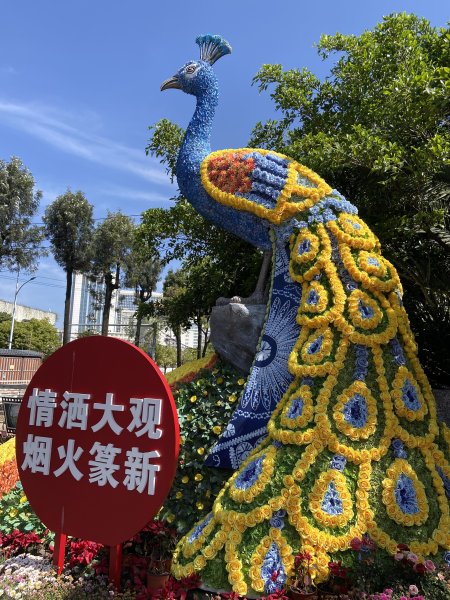 雲南----玉龍雪山，香格里拉，西雙版納3048650