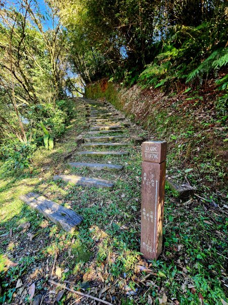 小百岳集起來-姜子寮山2181014