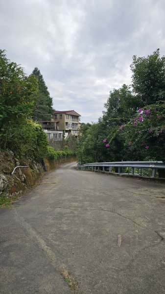 【山形暗影綽綽，我們步履不停，只為那枚海拔千尺下的獨特三角點。】小百岳#044暗影山2943635