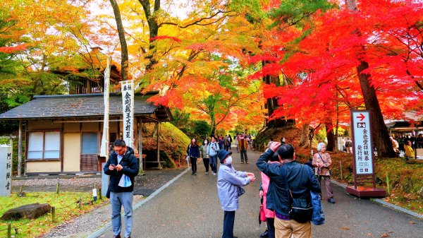 岩手縣中尊寺2930152