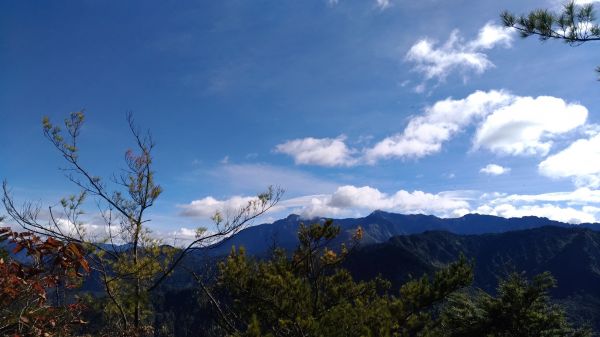 自忠(兒玉)山+東水山+特富野古道縱走206725