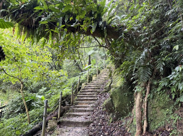 [微笑山線_第四段] 2026_0321 天上山系_天上山3020974