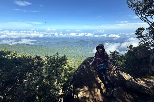 加里山O繞20250713(大坪登山口-杜鵑嶺-加里山-避難小屋-大坪登山口)2836900