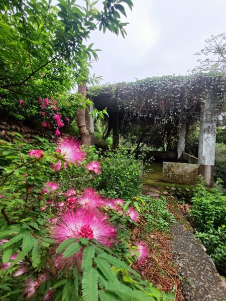 台中大甲鐵砧山2769481