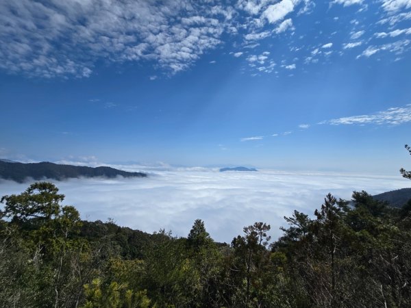 蝶夢八唐（裡冷登山口往返）八仙山出雲海下山順賞富士櫻2722717