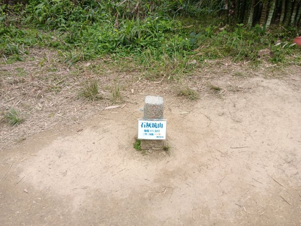 微笑山線大棟山系百年大榕樹段+大湖坑步道2981058