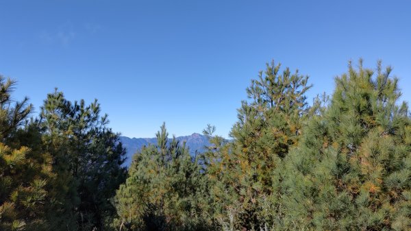 武法奈尾山1946738