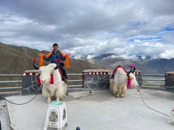 西藏♥️可愛動物🐎人物寫真/拉薩旅拍/美食2903005