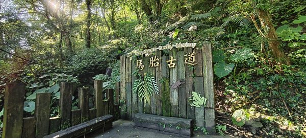 2025/06/28_馬胎+南坪古道2823738