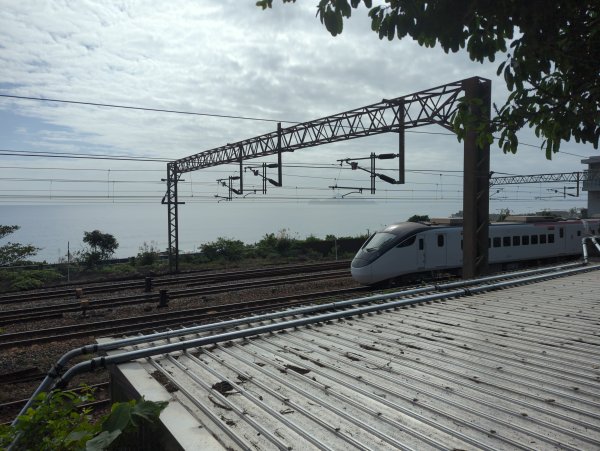 2025.11.29－草嶺古道芒花季2955997