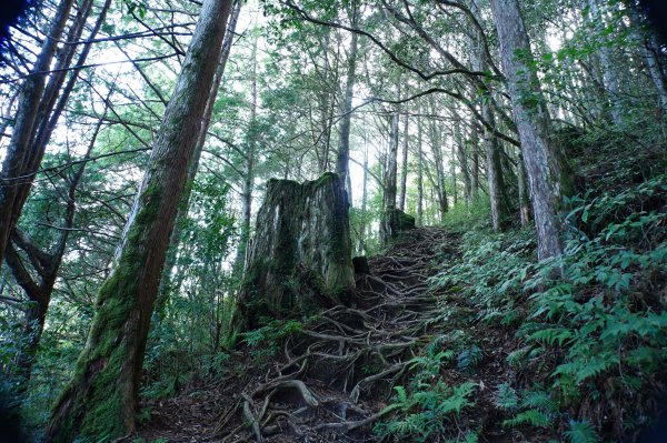 宜蘭 大同 加羅山2890274