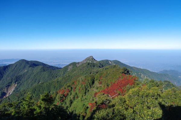 鳶嘴稍來步道(紅榨槭)233261