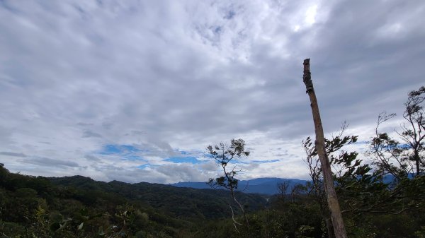 2020-1130飛鳳山O型1193898