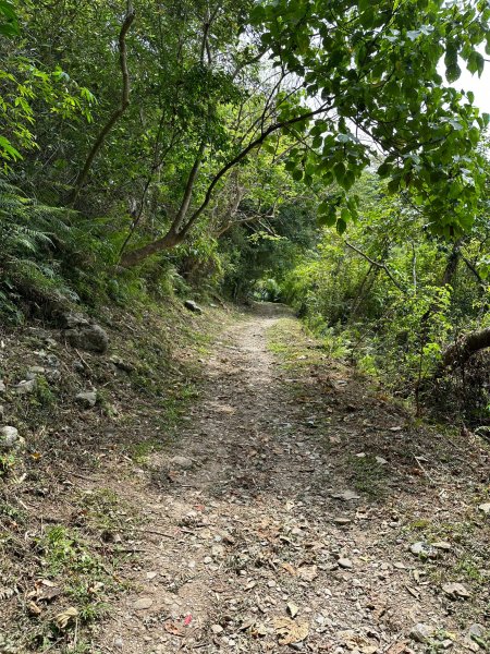 得卡倫步道上立霧山從砂卡噹步道回太魯閣國家公園遊客中心2122132