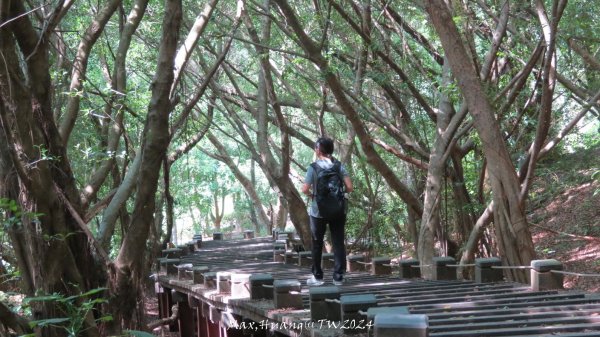 《台中》颱風前夕｜大肚環保公園登山步道(北段)20240929封面