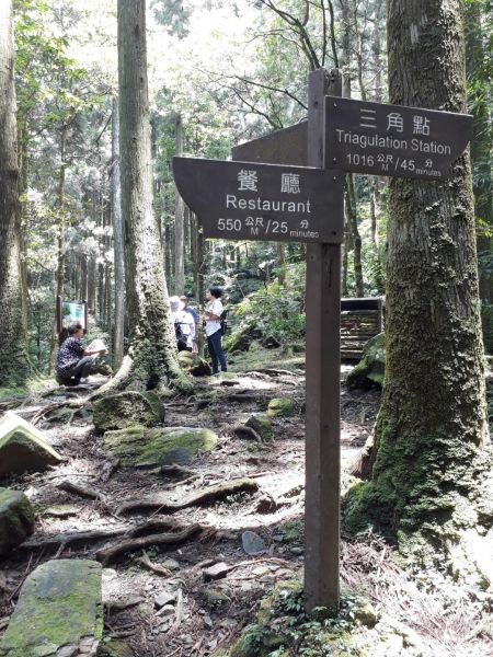 桃園東眼山森林浴20180728373266