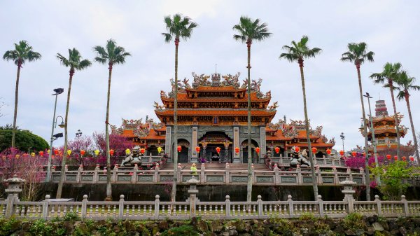 《蘭陵王・林口櫻花》2715957