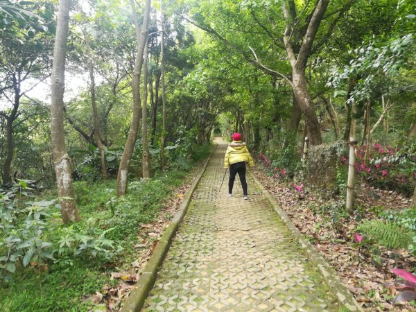 與母親爬山—虎山步道群/探訪秘境黃蟬園895169