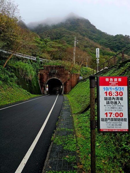 舊草嶺隧道步道 - 113年走路趣尋寶 全臺齊步走2651410