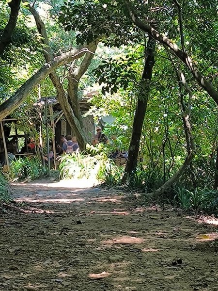 20250822微笑山線205高地段2868572