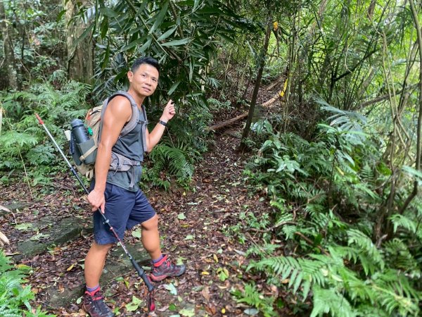 新竹橫山.大崎棟古道.騎龍古道【二個古道走向二個截然不同的方向】2868742