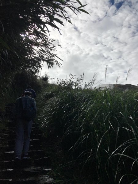 七星山攻頂577467