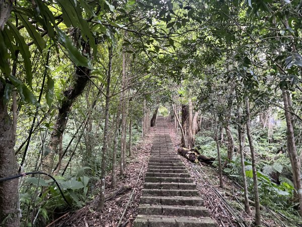 [微笑山線_ 第十段] 2025_0914 五分山系_菁桐煤礦段2889842