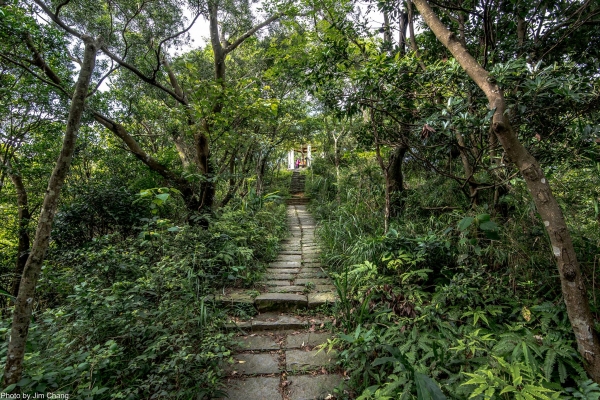 新竹飛鳳山-觀日坪古道46910