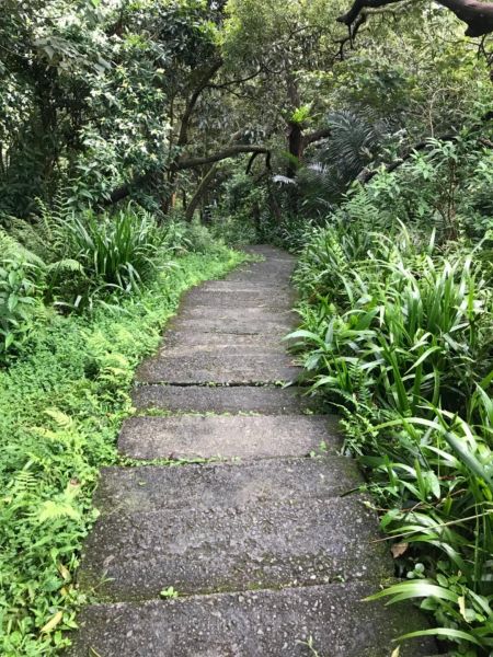 1070321文筆山五城山天上山O型293104