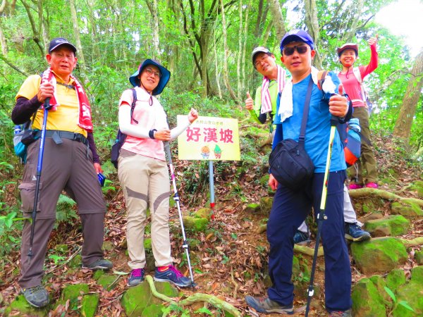 【新竹關西】登赤柯山 小關西1190564