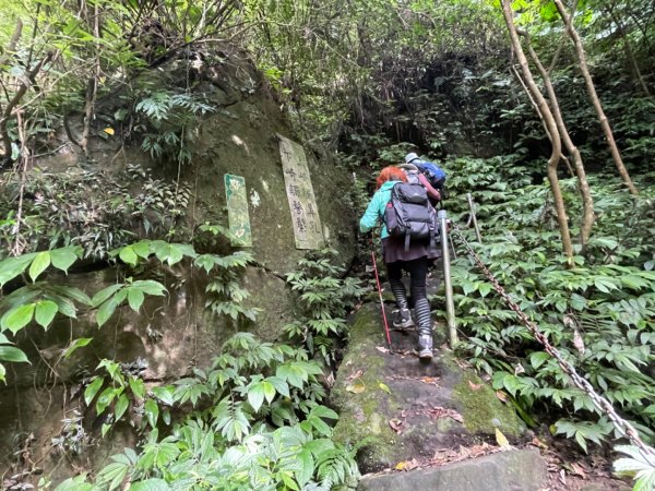 1140618鳴鳳古道｜錫隘-雲洞宮2815357