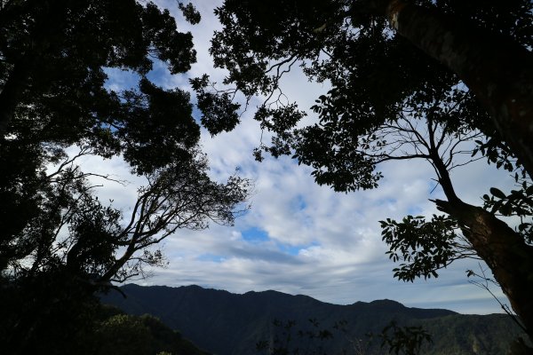 2017/12/02 上島山 (鳥嘴山)499870