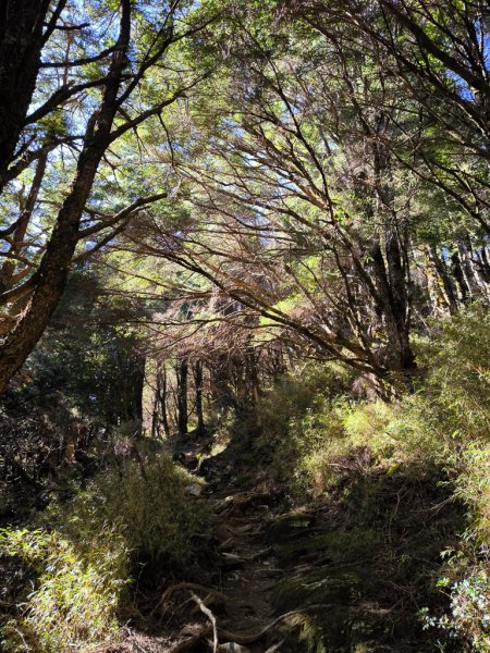 2026-02-09 庫哈諾辛山2998871