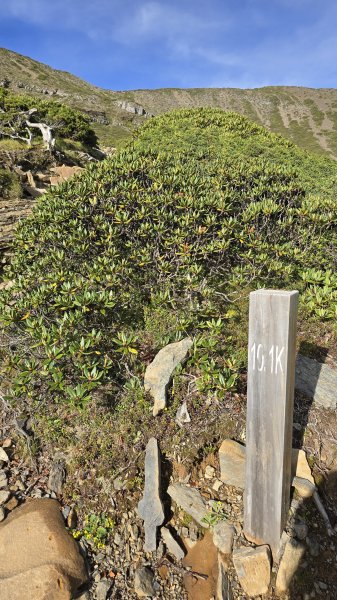 20250622 一日單攻雪主2919322