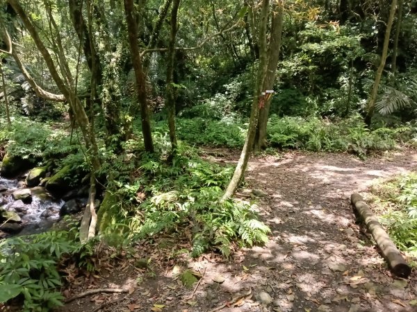 雙溪區淡蘭山徑-燦光寮古道+貂山古道O型2774869