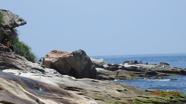 一方淨土，淙淙清流， 蟲鳴鳥叫，蝶飛蟌舞。1739747