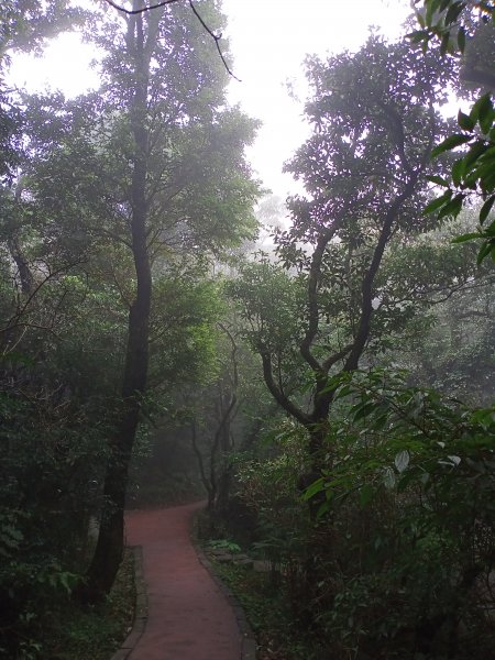 【臺北大縱走 1】二子坪→面天山→清天宮1274576