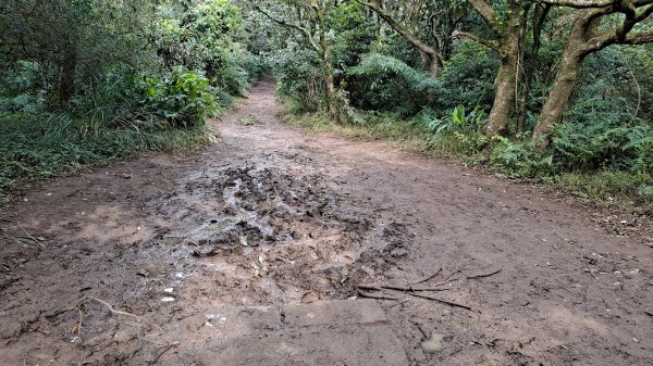 台北大縱走第一段1249195