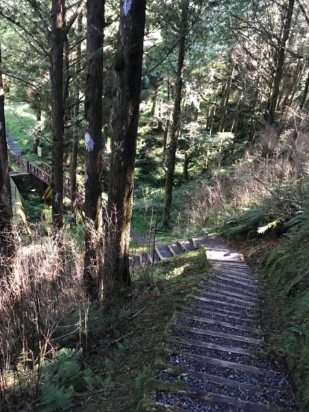 阿里山雙峰大塔山對高岳連走451416