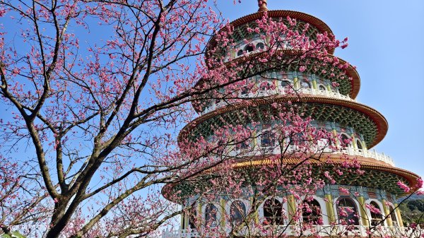 追花是簡單的快樂，賞花是恬淡的幸褔 2/112710561