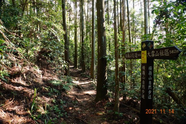 臺中 和平 橫嶺山自然步道、橫嶺山1515002