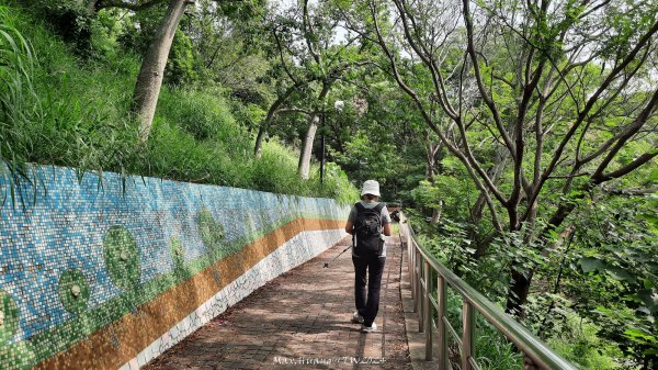 《台中》颱風前夕｜大肚環保公園登山步道(北段)202409292606710