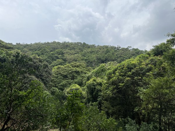 [皮皮獅探險隊-04/10] 2025_0706 三段崎古道2831751