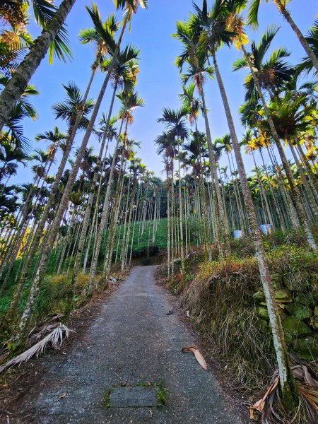 小百岳集起來-後尖山2182714